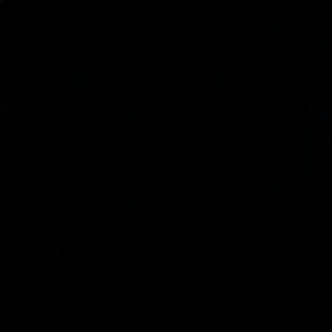 Meet your Posher, Ally